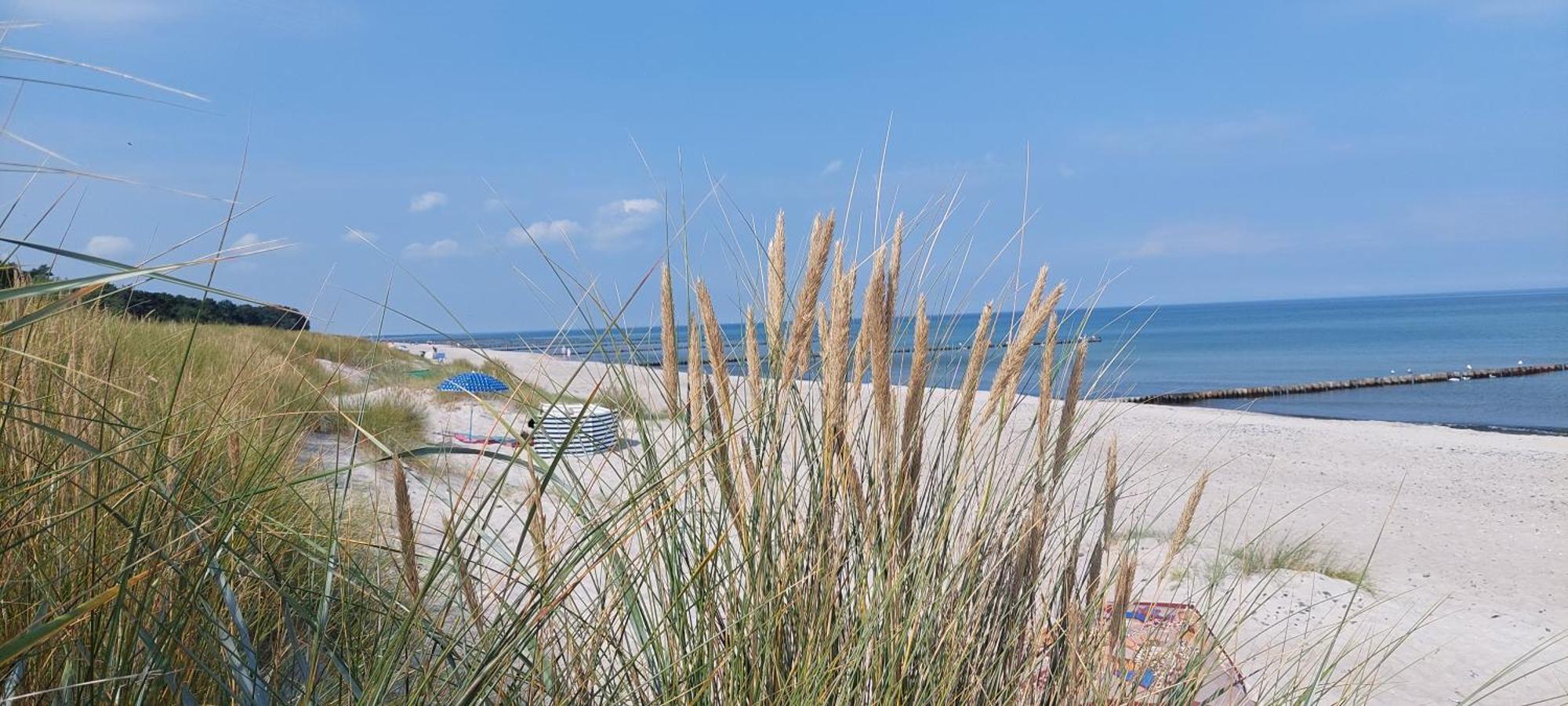 Residenz Am Strand Wohnung 1-21 Zingst Eksteriør billede